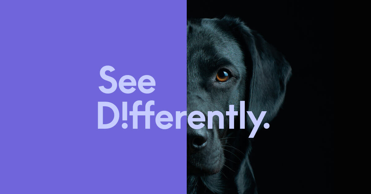 See Differently | Work | Fuller