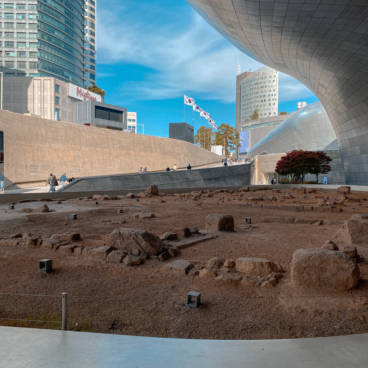 Open spaces showcase the unique shape of the DDP structure