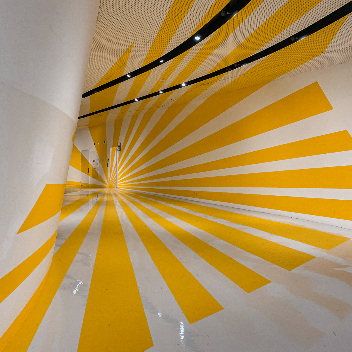 Yellow patterns from the Colours, Shapes, Movements Exhibition in the Design Plaza